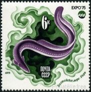 Timbre Y&T N4163