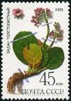 Stamp Y&T N5236