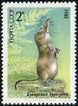 Stamp Y&T N5240