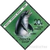 Timbre Y&T N5822