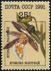 Stamp Y&T N5855