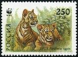 Stamp Y&T N6031