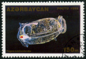 Stamp Y&T N212