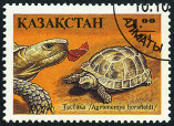 Stamp Y&T N53