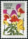 Stamp Y&T N6169