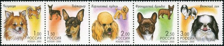 Briefmarken U.S.S.R., Sovietic Union Y&T N6485-89