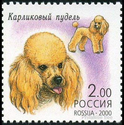 Briefmarken U.S.S.R., Sovietic Union Y&T N6487