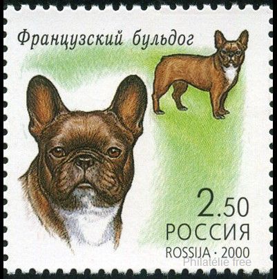 Briefmarken U.S.S.R., Sovietic Union Y&T N6488