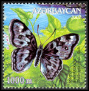 Stamp Y&T N441