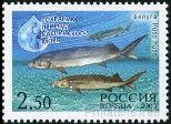 Stamp Y&T N6753