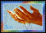 Timbre Y&T N�6898