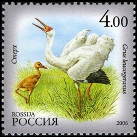 Stamp Y&T N6971