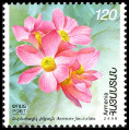 Stamp Y&T N576