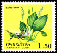 Stamp Y&T N�2008-022