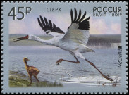 Timbre Y&T N2019-003